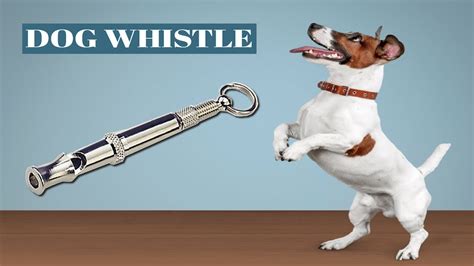 Dog Whistle Mechanism